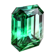 Tasvorite